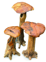 Root Giant Wild Mushroom Set Of 3