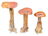 Root Giant Wild Mushroom Set Of 3
