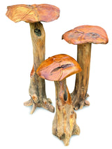 Root Giant Wild Mushroom Set Of 3