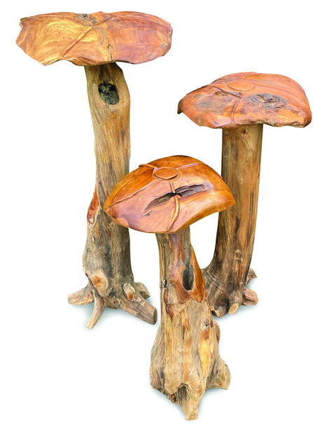 Root Giant Wild Mushroom Set Of 3