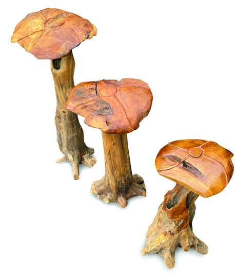 Root Giant Wild Mushroom Set Of 3