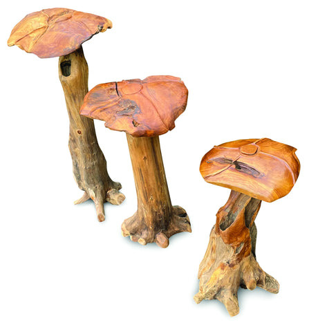 Root Giant Wild Mushroom Set Of 3