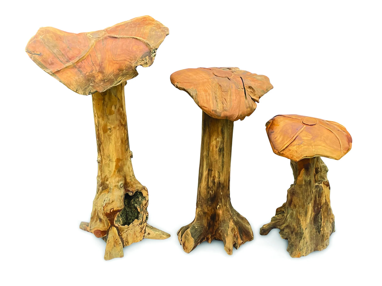 Root Giant Wild Mushroom Set Of 3