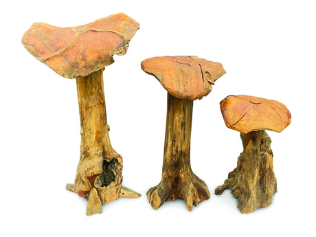 Root Giant Wild Mushroom Set Of 3
