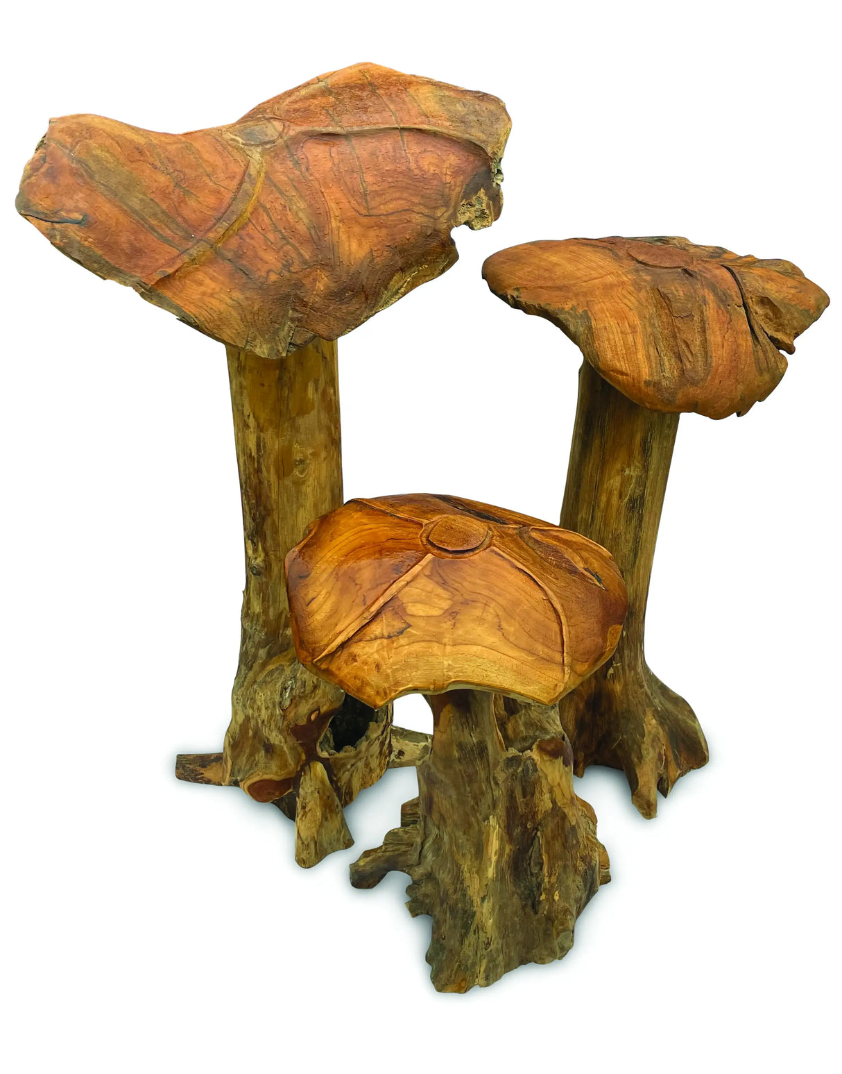 Root Giant Wild Mushroom Set Of 3