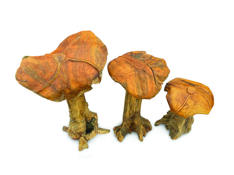 Root Giant Wild Mushroom Set Of 3