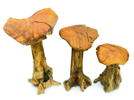 Root Giant Wild Mushroom Set Of 3