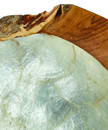 Root Pearl Bowl Small