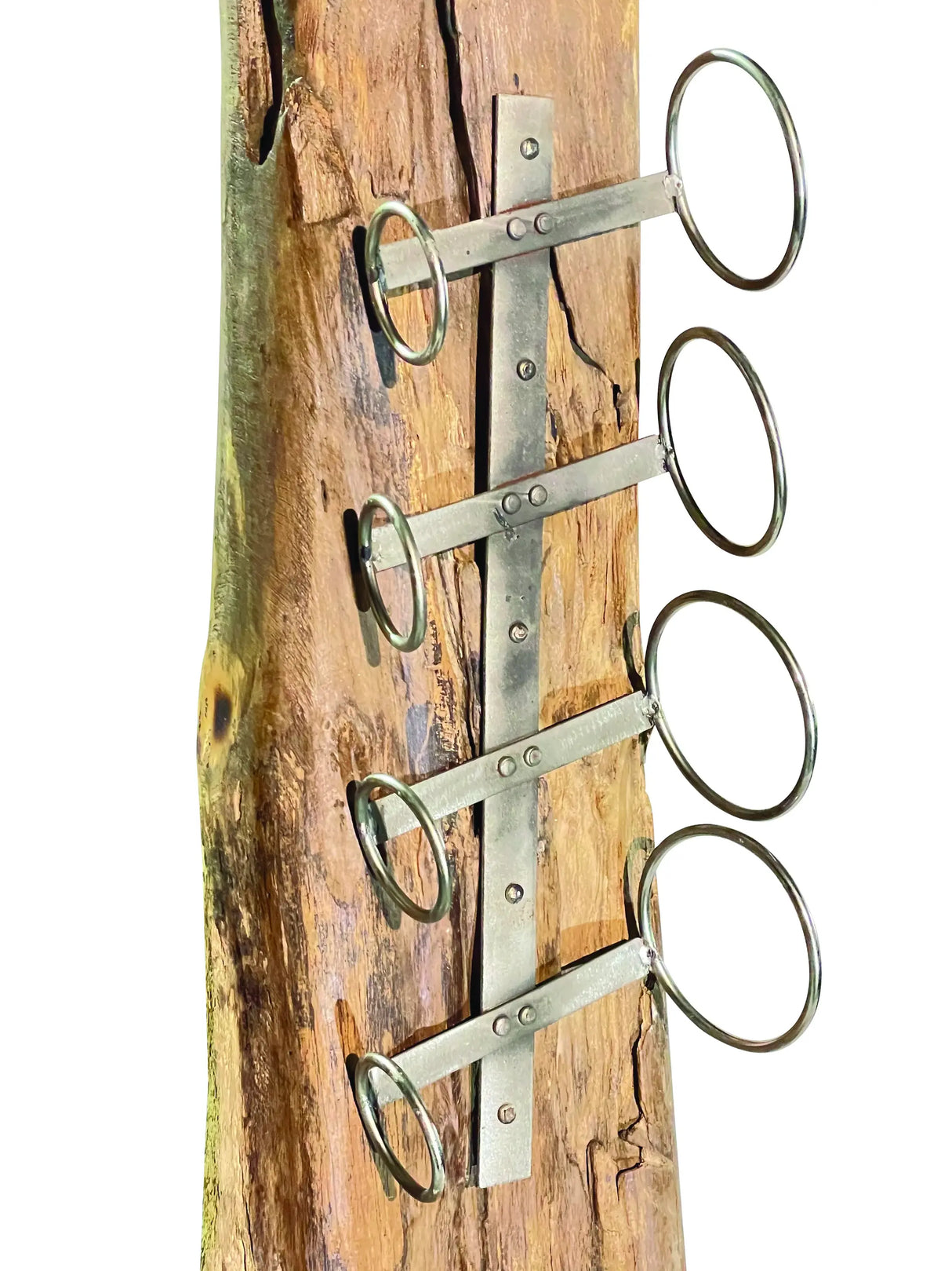 Root Sculpture wine rack 4 holes