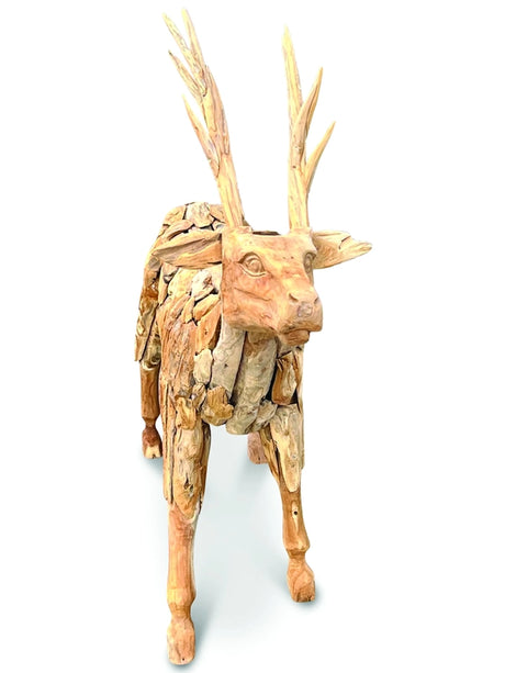Root small reindeer
