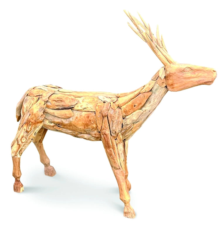 Root small reindeer