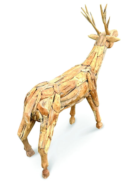 Root small reindeer