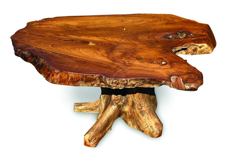 Root Coffee Table 1 Leg