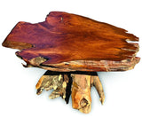 Root Coffee Table 1 Leg