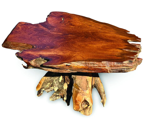 Root Coffee Table 1 Leg