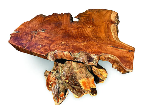 Root Coffee Table 1 Leg