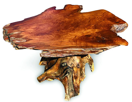 Root Coffee Table 1 Leg