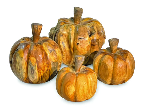 Root pumpkin set of 4