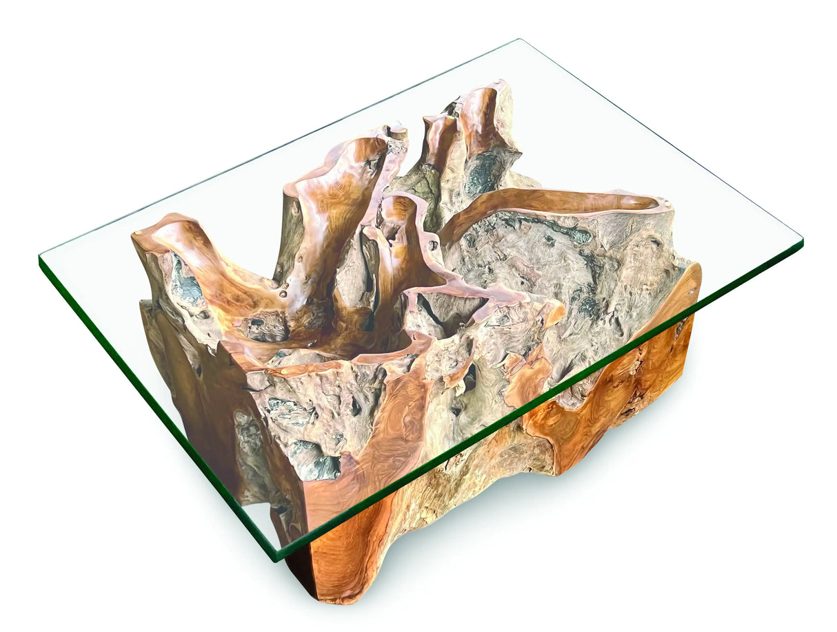 Root Rect. Lombok coffee table with 100x70 cm glass