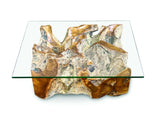 Root Rect. Lombok coffee table with 100x70 cm glass