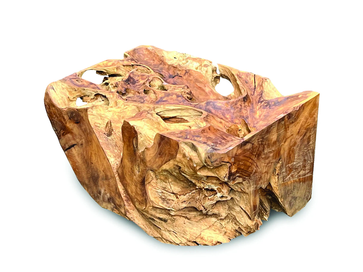 Root Rect. Lombok coffee table with 100x70 cm glass