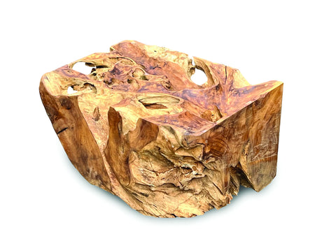 Root Rect. Lombok coffee table with 100x70 cm glass