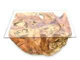 Root Rect. Lombok coffee table with 100x70 cm glass