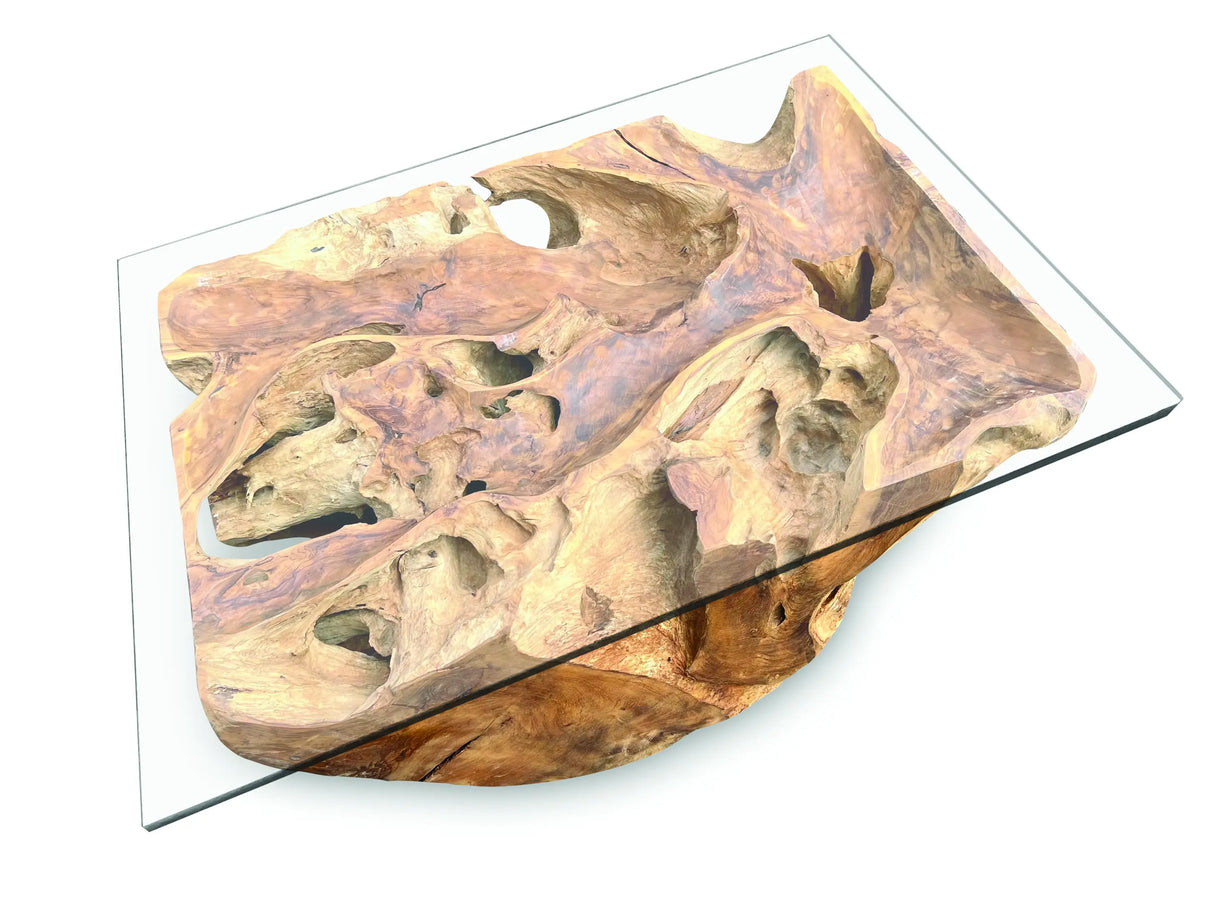 Root Rect. Lombok coffee table with 100x70 cm glass