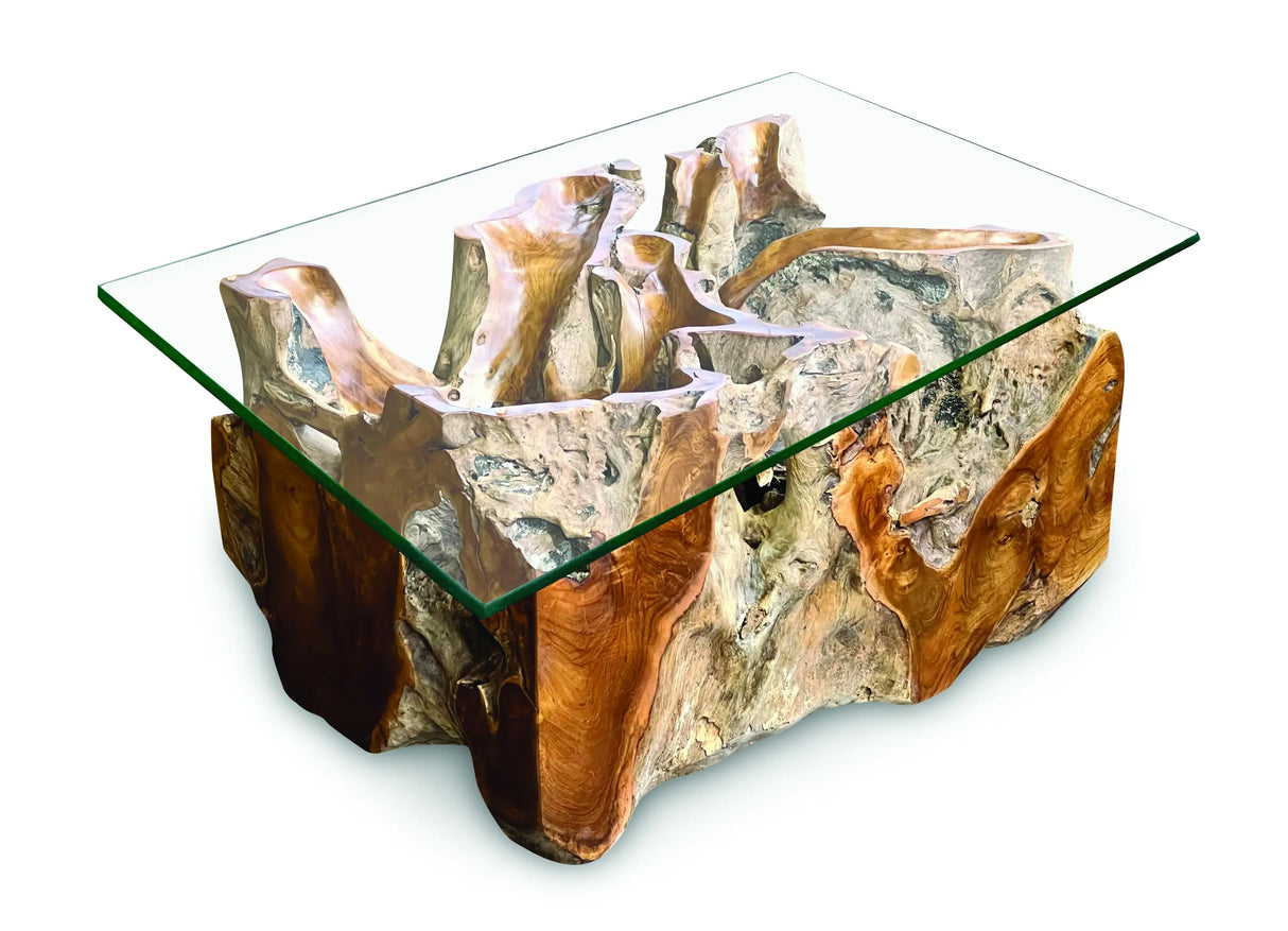 Root Rect. Lombok coffee table with 100x70 cm glass