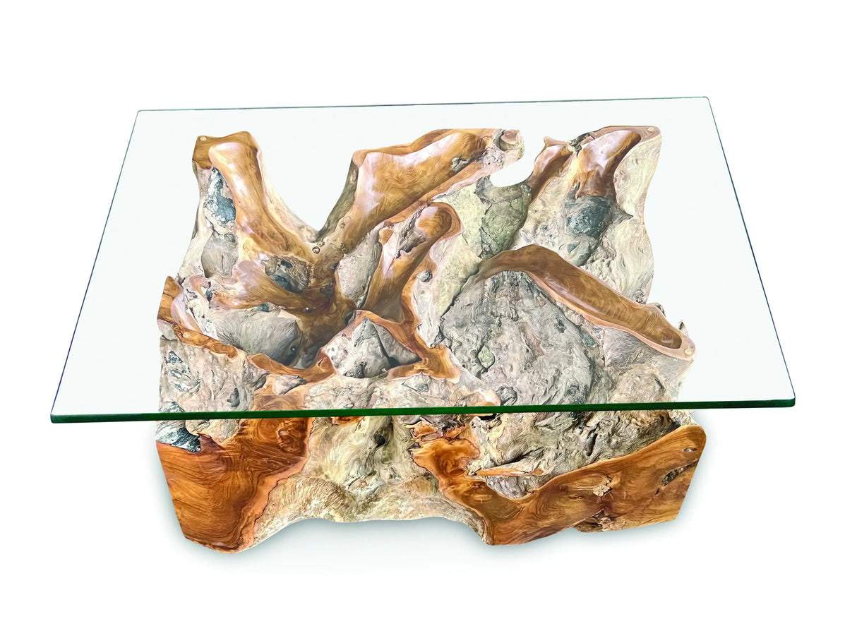 Root Rect. Lombok coffee table with 100x70 cm glass