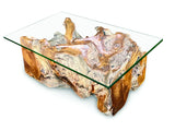 Root Rect. Lombok coffee table with 100x70 cm glass