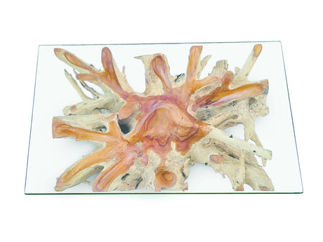 Root Rect. Lombok coffee table with 100x70 cm glass