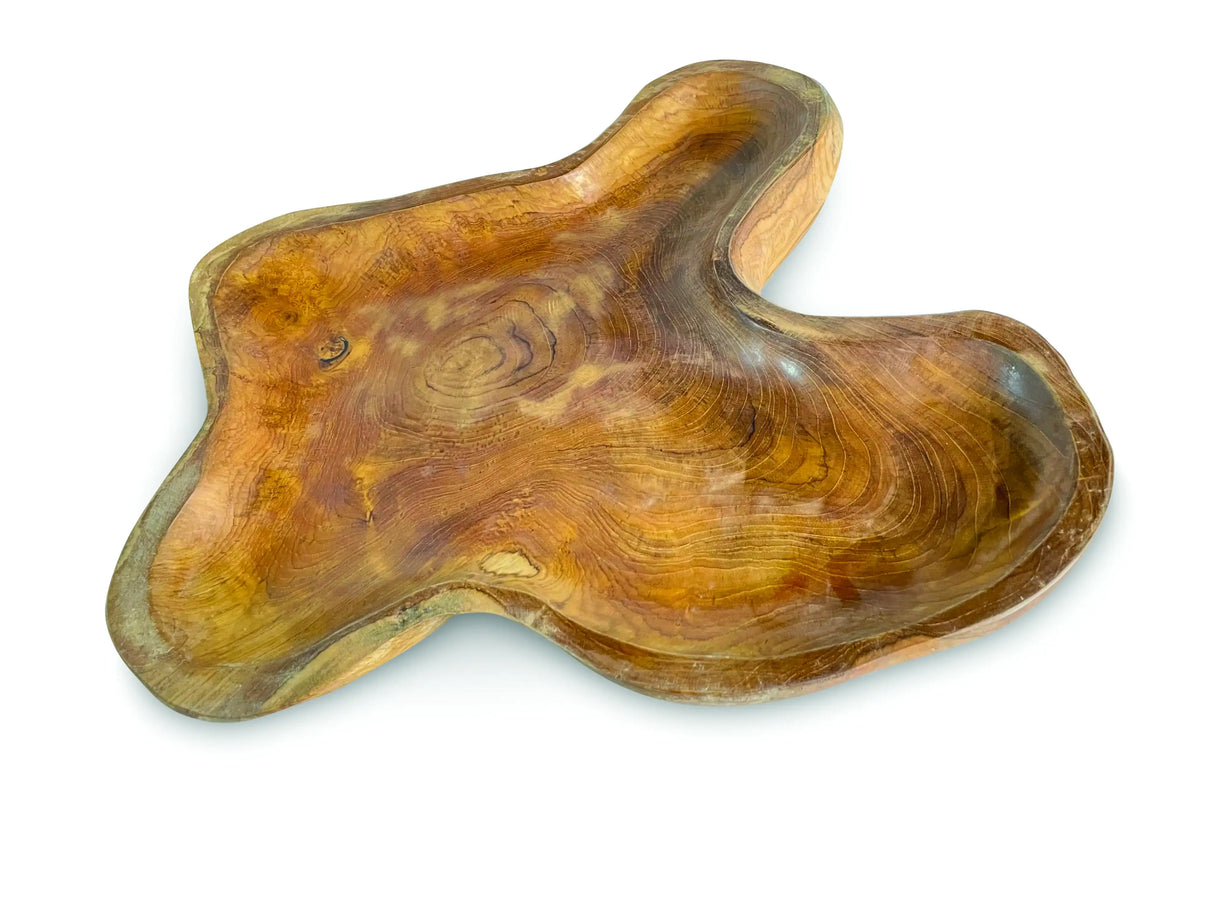 Root Mushroom Tray Small