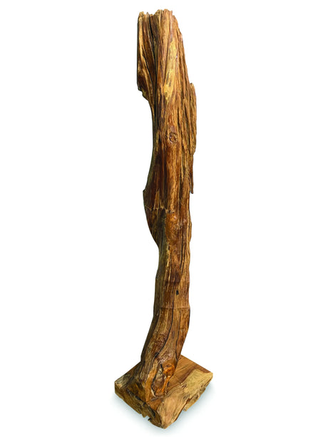 Root Natural Sculpture Tall