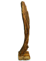 Root Natural Sculpture Tall