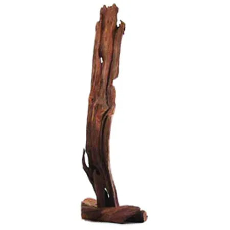 Root Natural Sculpture Tall