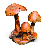 Root Gili Mini Mushroom Cluster