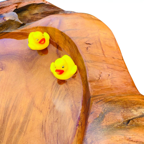 Root Giant Bird Bath