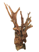 Root Forest Sculpture Large