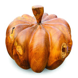 Root Giant pumpkin