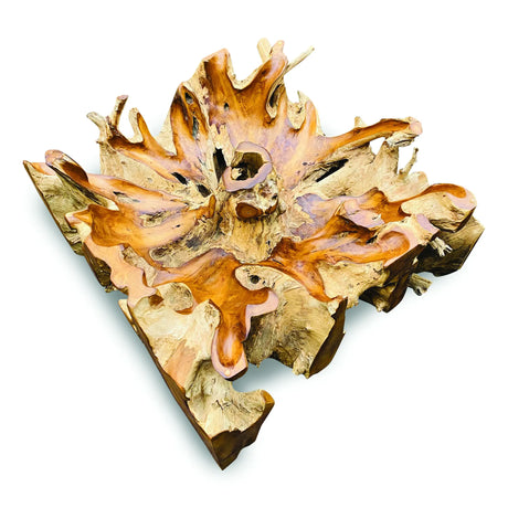 Root Square Lombok Coffee Table Small with 90x90 cm glass