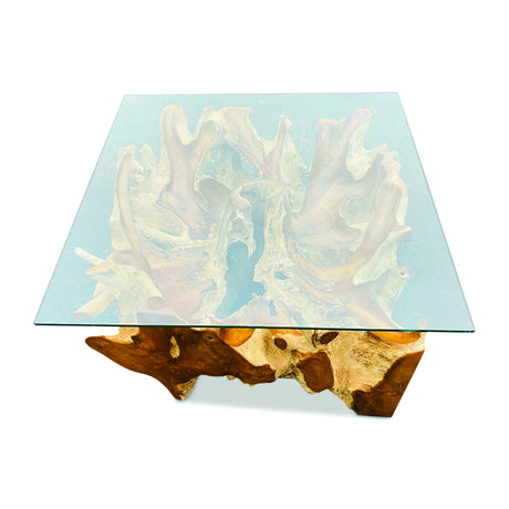 Root Square Lombok Coffee Table Small with 90x90 cm glass