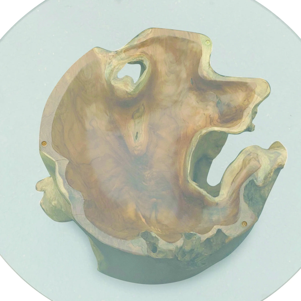 Root Round Lombok Coffee Table Extra Small with Dia. 70 cm glass