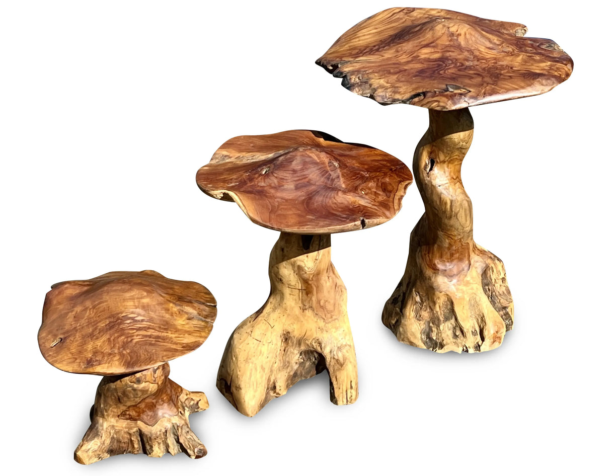 Teak Root Giant Wild Toadstools set of three