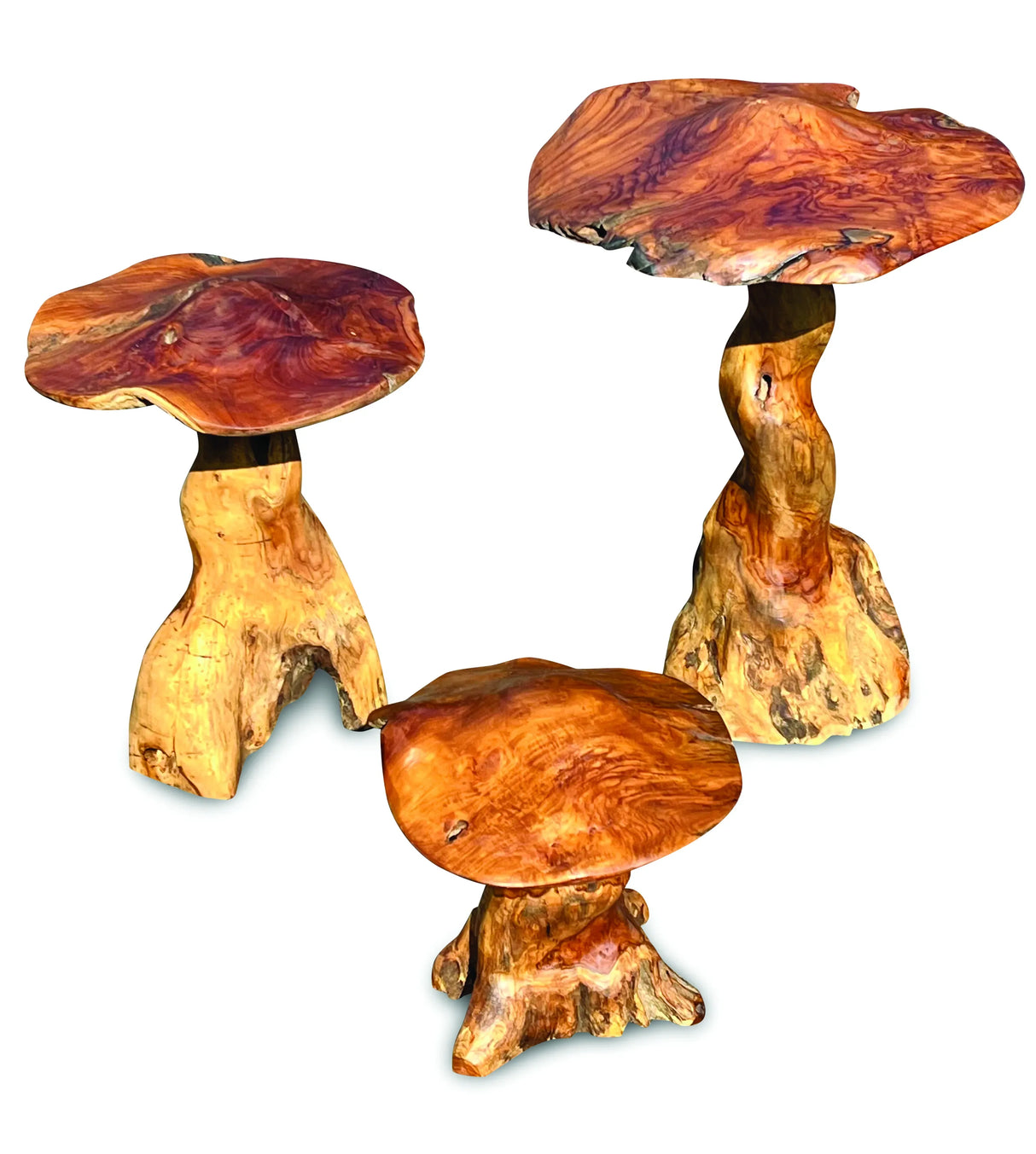 Teak Root Giant Wild Toadstools set of three