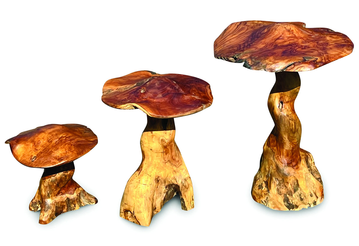 Teak Root Giant Wild Toadstools set of three