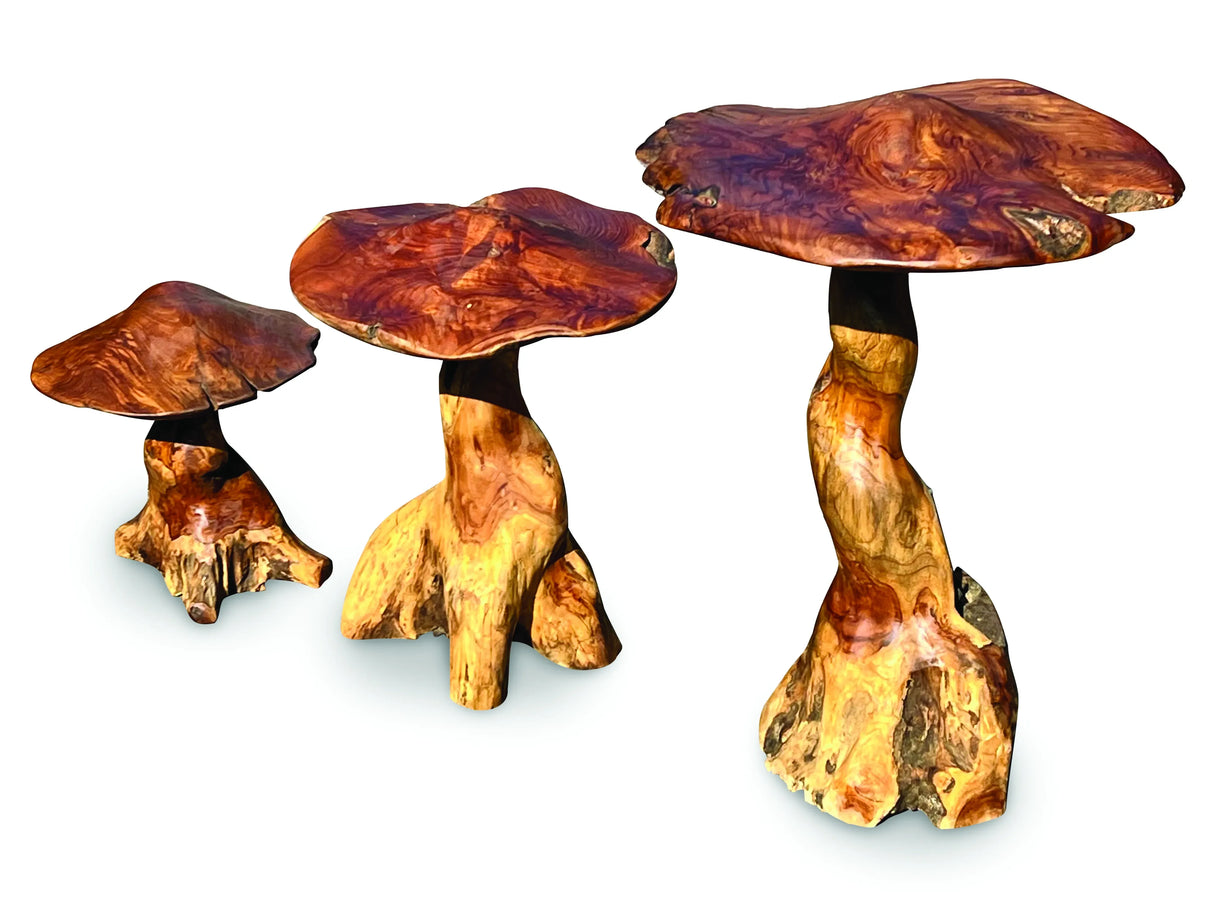 Teak Root Giant Wild Toadstools set of three