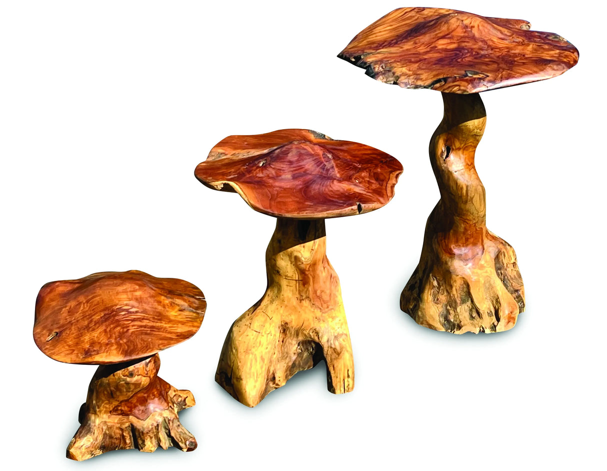 Teak Root Giant Wild Toadstools set of three