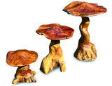 Teak Root Giant Wild Toadstools set of three