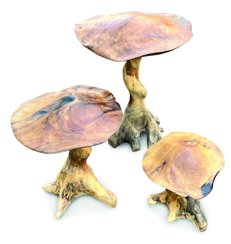 Teak Root Giant Wild Toadstools set of three